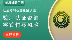 Disney验厂介绍，Disney全球劳动标准（ILS）指南-...