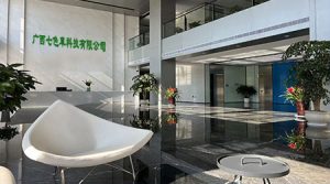 祝贺广西七色草科技有限公司2025年一次性顺利通过G...