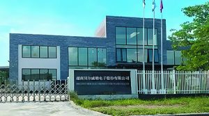 祝贺越南贝尔威勒电子股份有限公司2025年一次性顺...