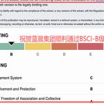 Chúc mừng Công ty Cổ phần Công nghệ Lan Thần Trung Sơn đã vượt qua thành công lần đầu tiên kiểm định nhà máy BSCI - cấp B vào năm 2026.